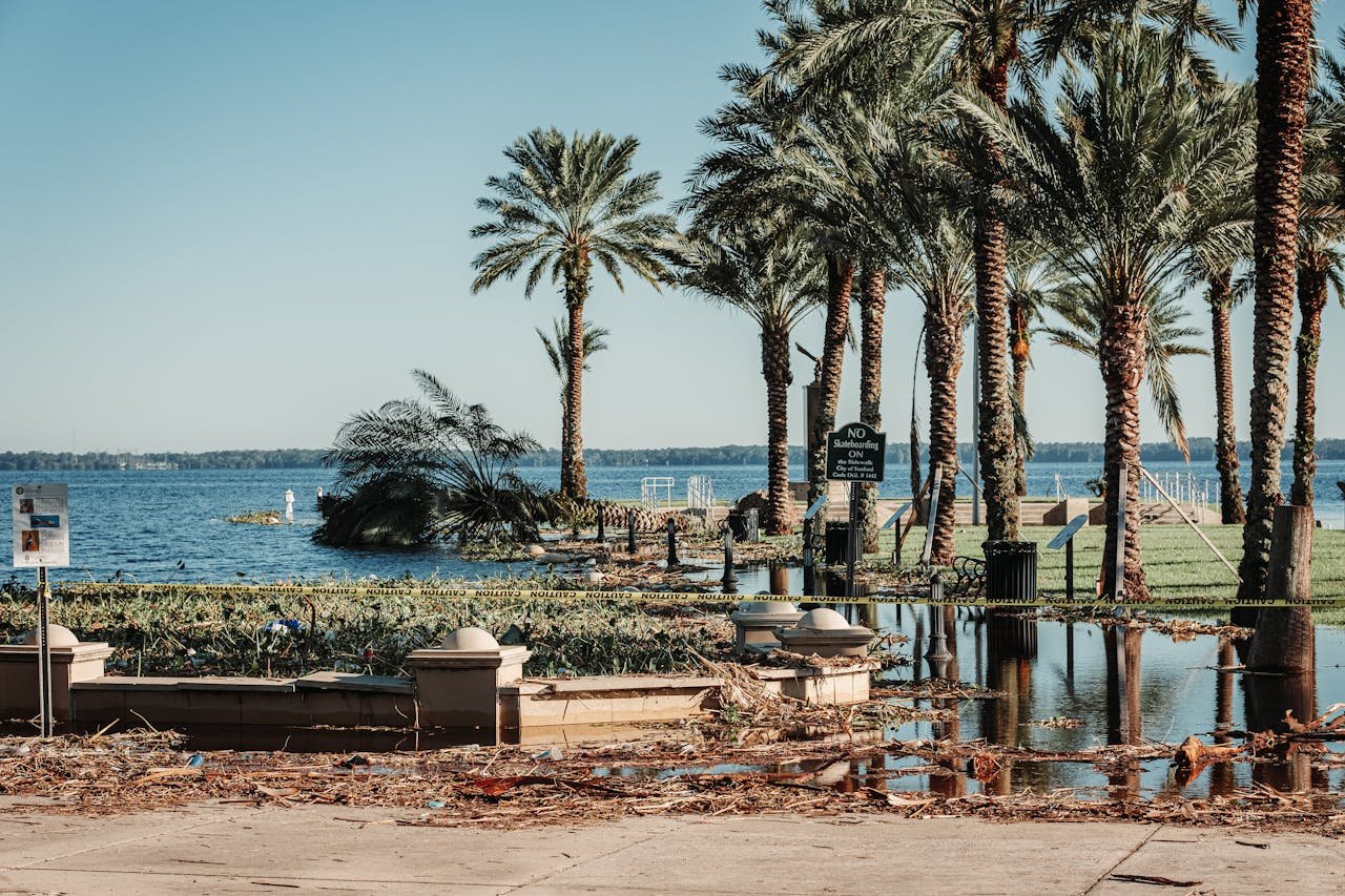 services-01 Flooded coastal area with palm trees and an occluded path post-storm damage in Florida.